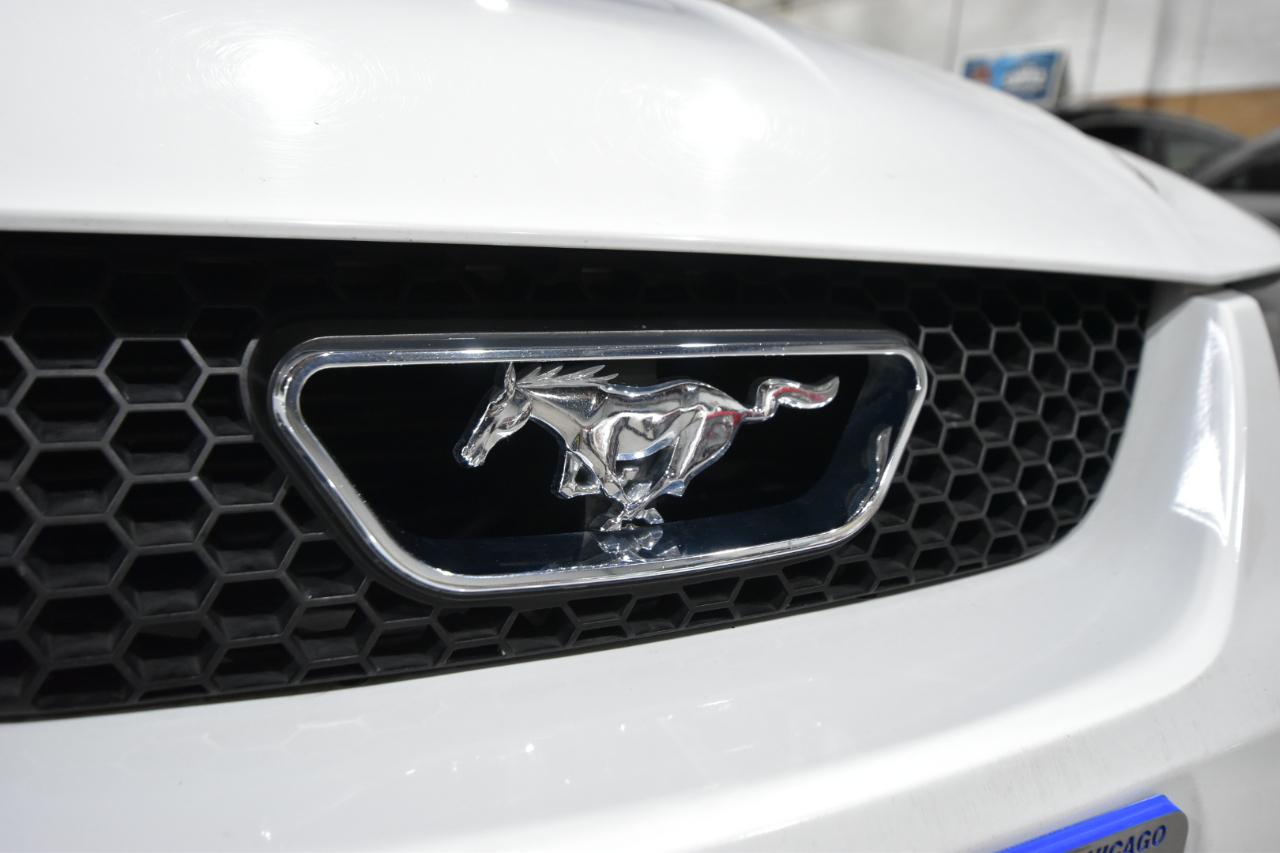 Ford Mustang 2dr Conv GT Deluxe 2004