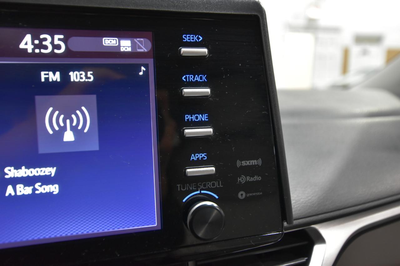 Toyota Sienna XLE FWD 8-Passenger (Natl) 2022