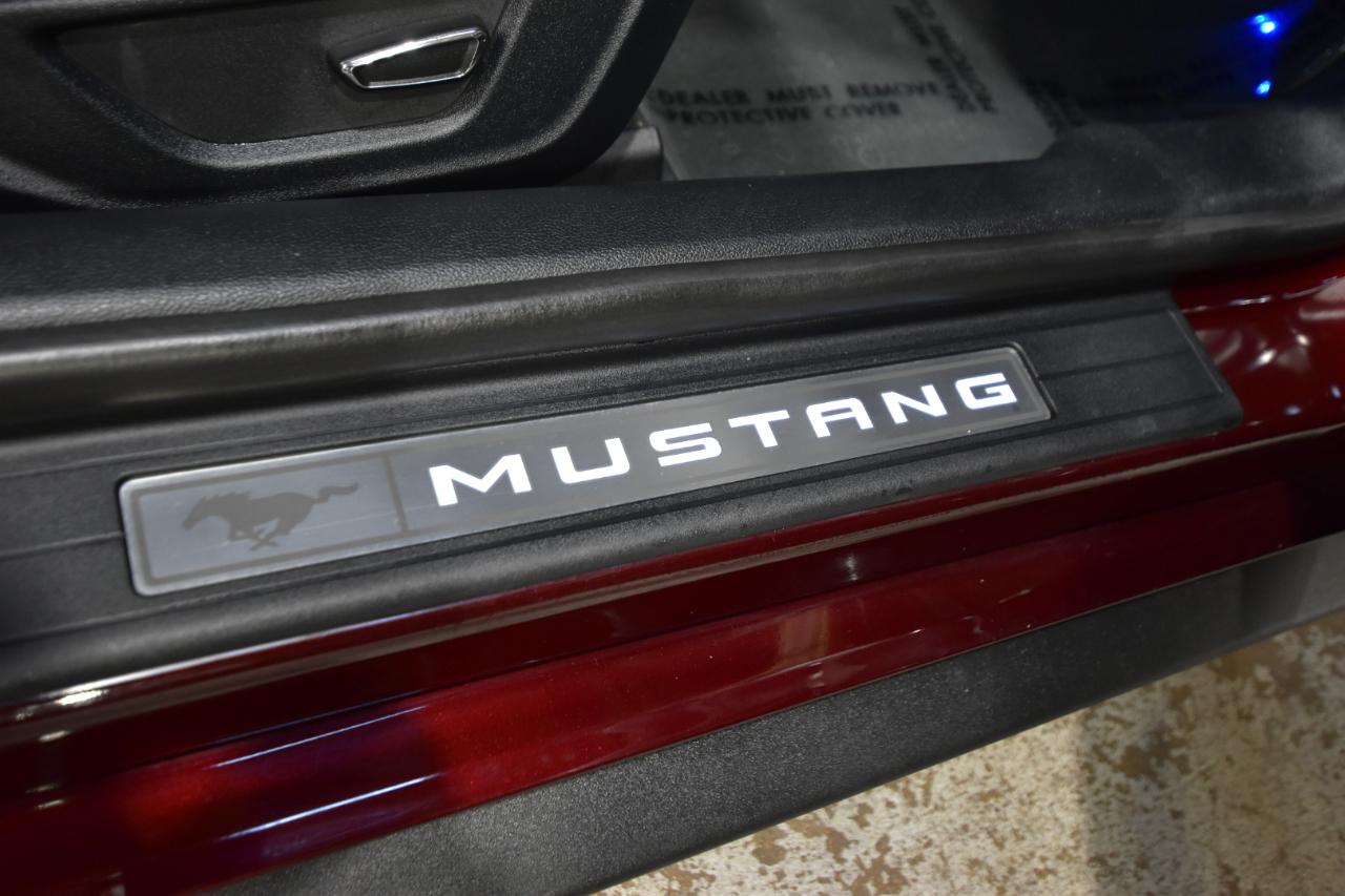 Ford Mustang GT Premium 2018