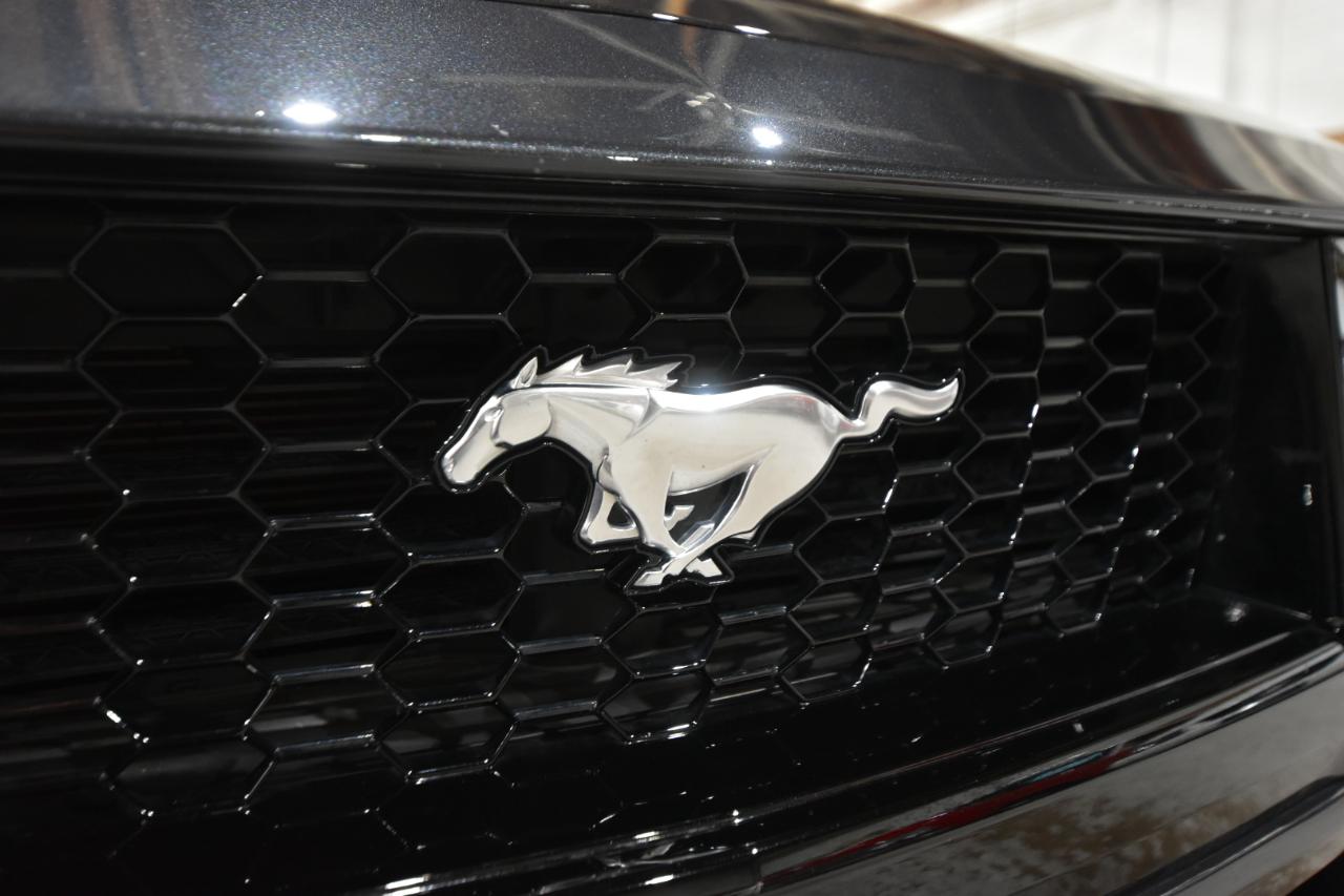 Ford Mustang GT Fastback 2024