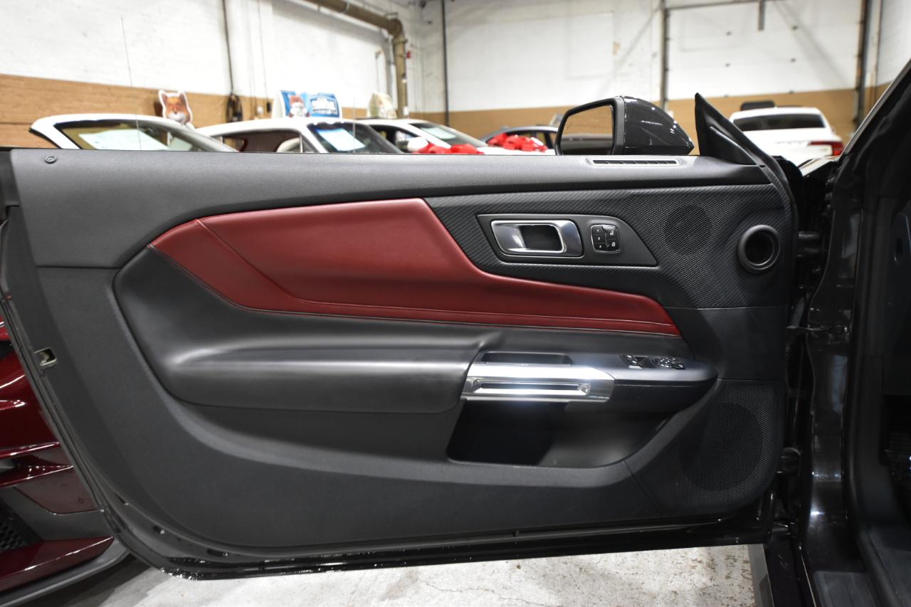 Ford Mustang GT Fastback 2024