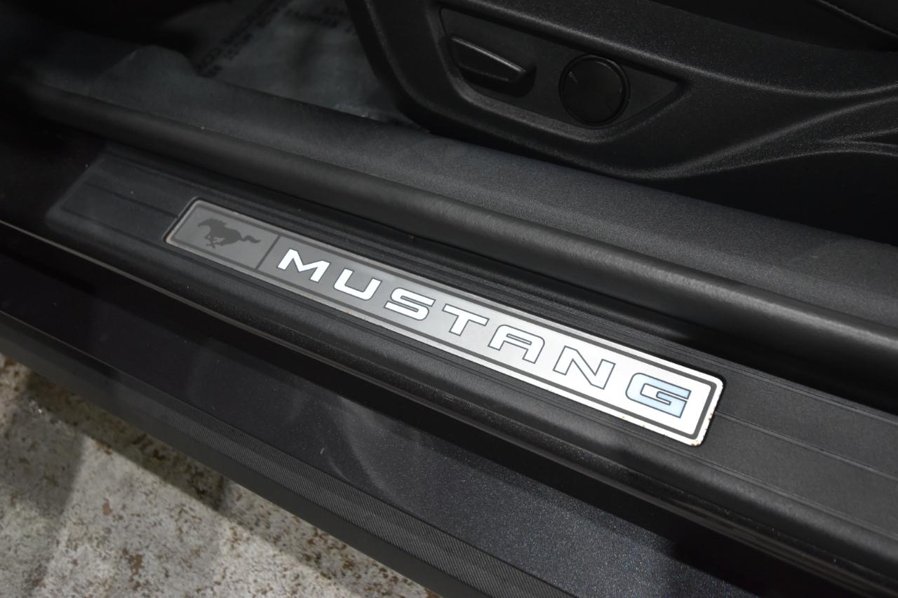 Ford Mustang GT Fastback 2024