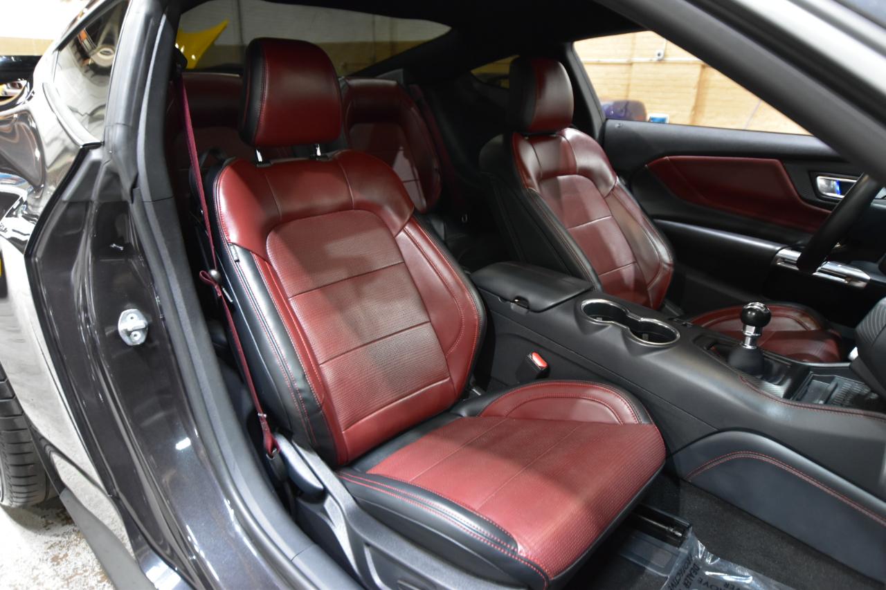 Ford Mustang GT Fastback 2024