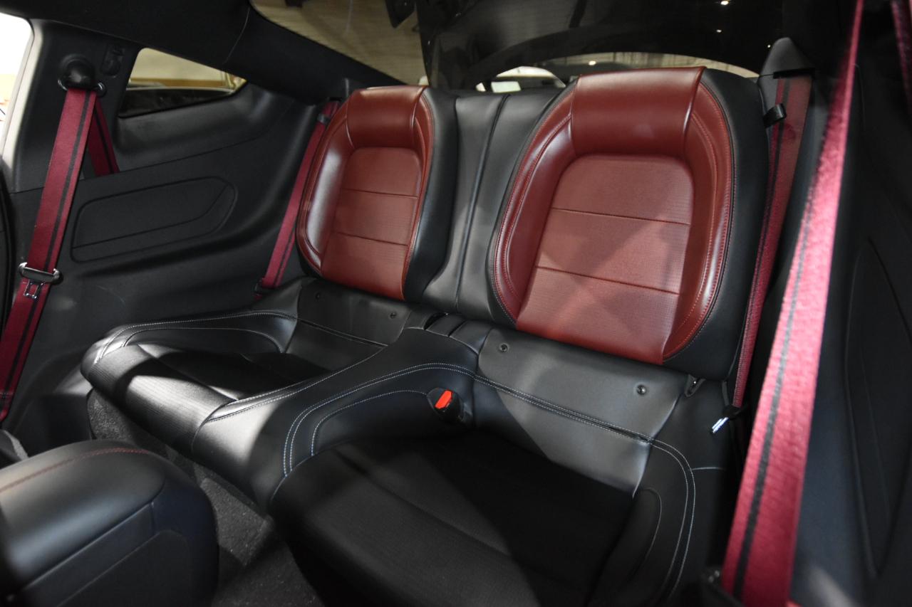 Ford Mustang GT Fastback 2024