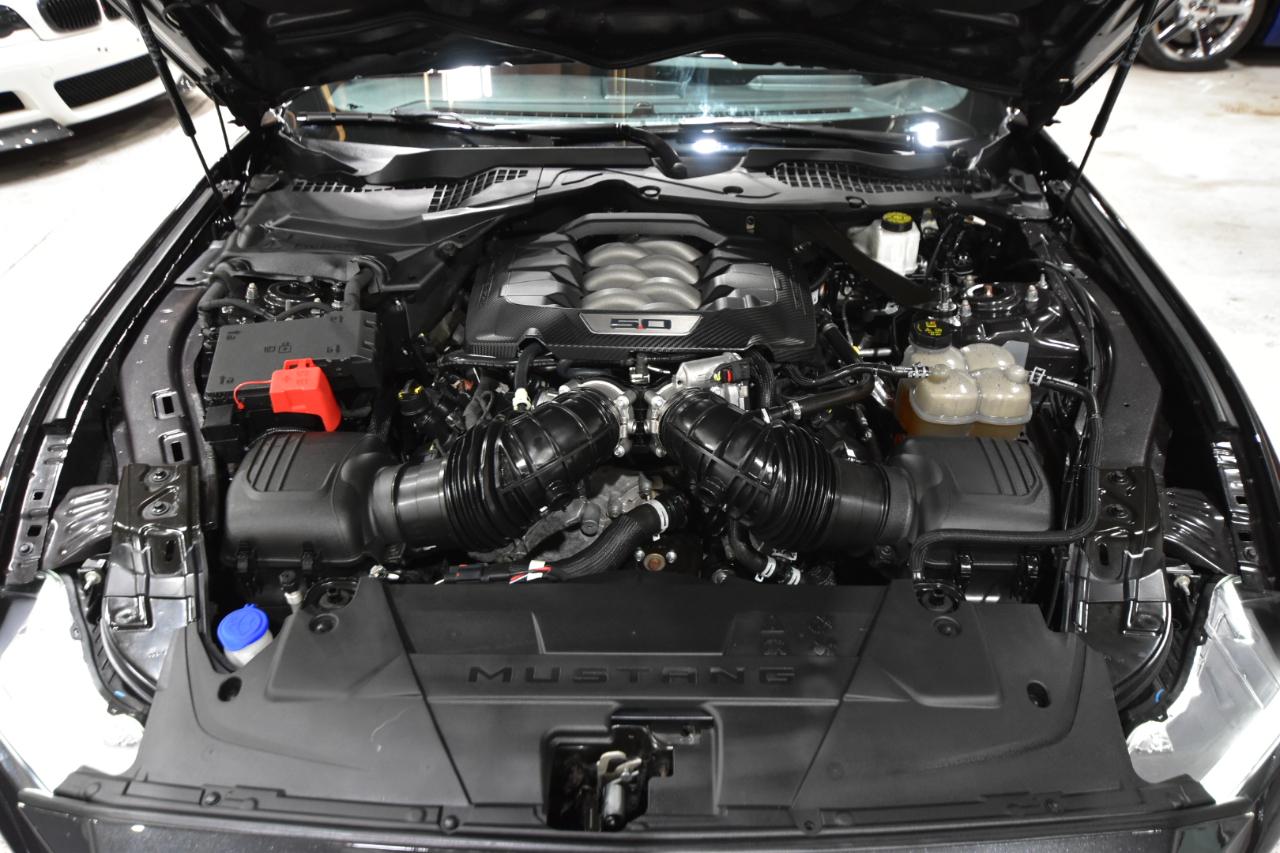 Ford Mustang GT Fastback 2024