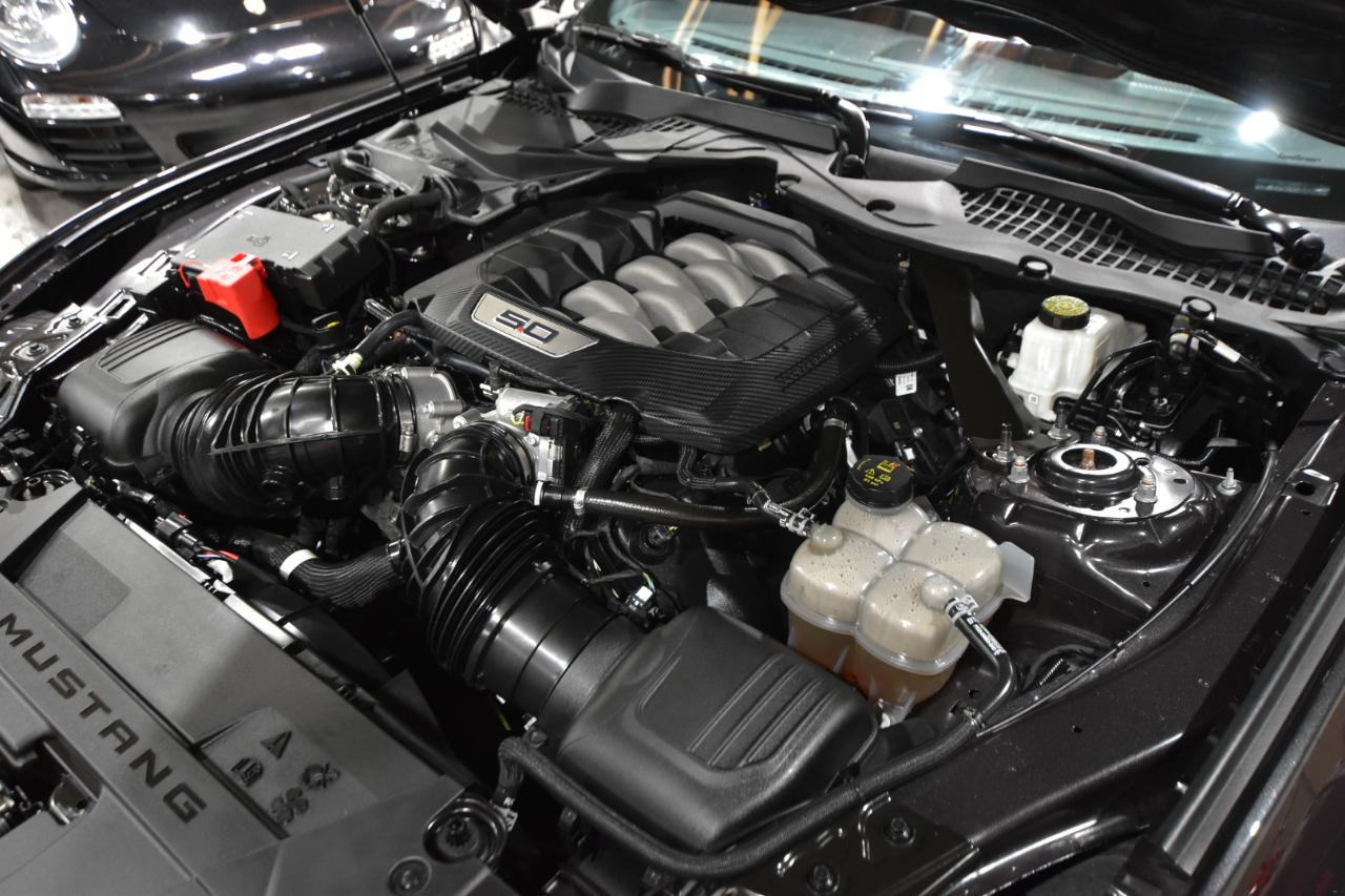 Ford Mustang GT Fastback 2024