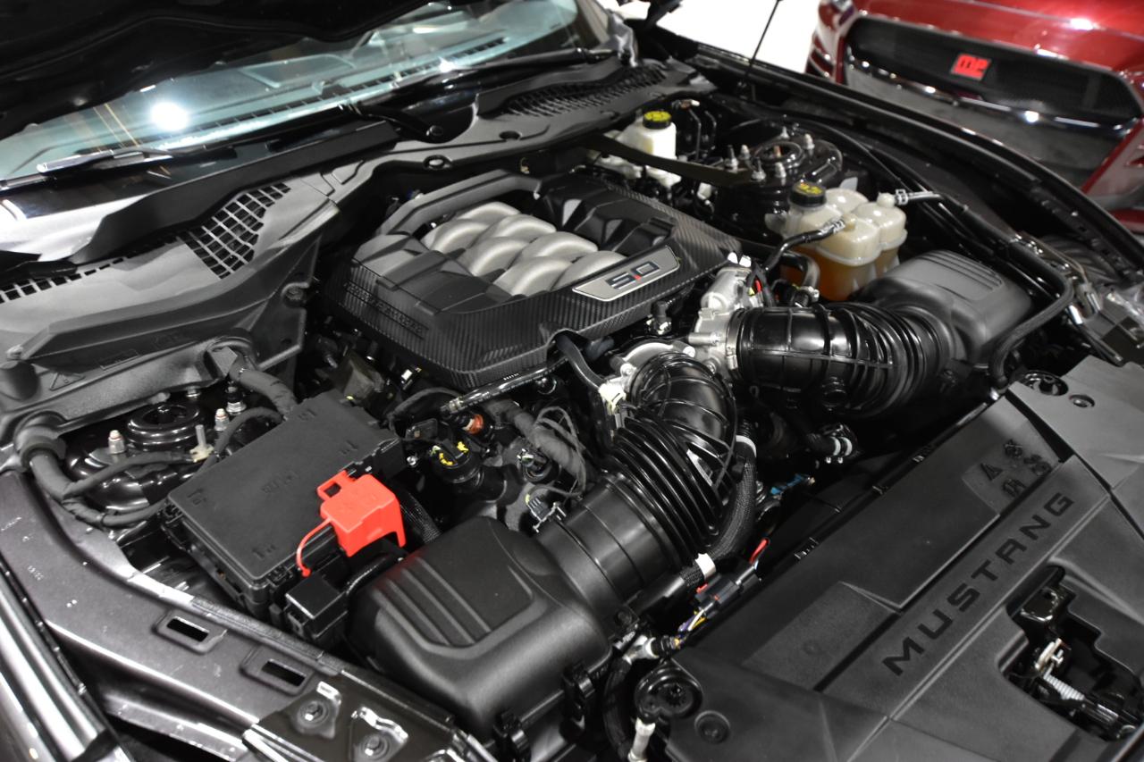 Ford Mustang GT Fastback 2024