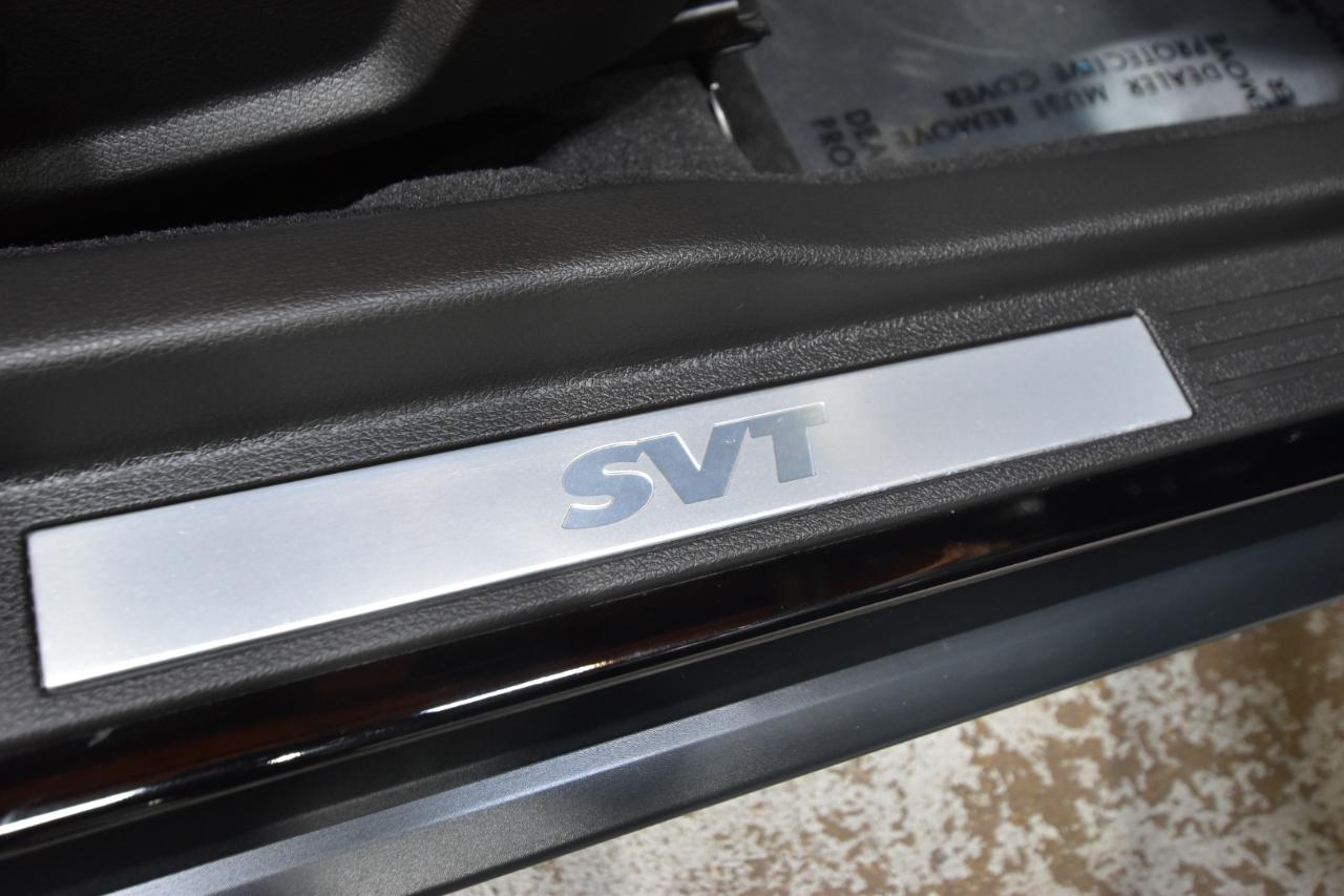 Ford Mustang 2dr Cpe Shelby GT500 2009