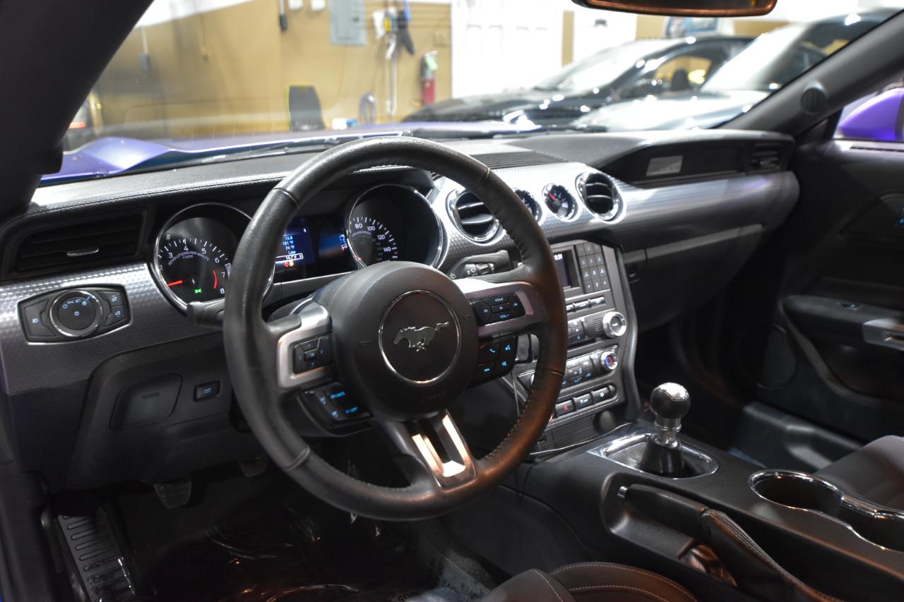 Ford Mustang GT Fastback 2017
