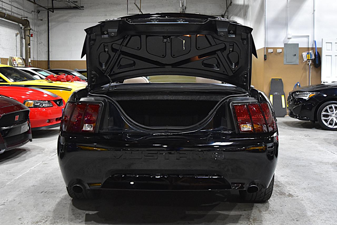 Ford Mustang  2003