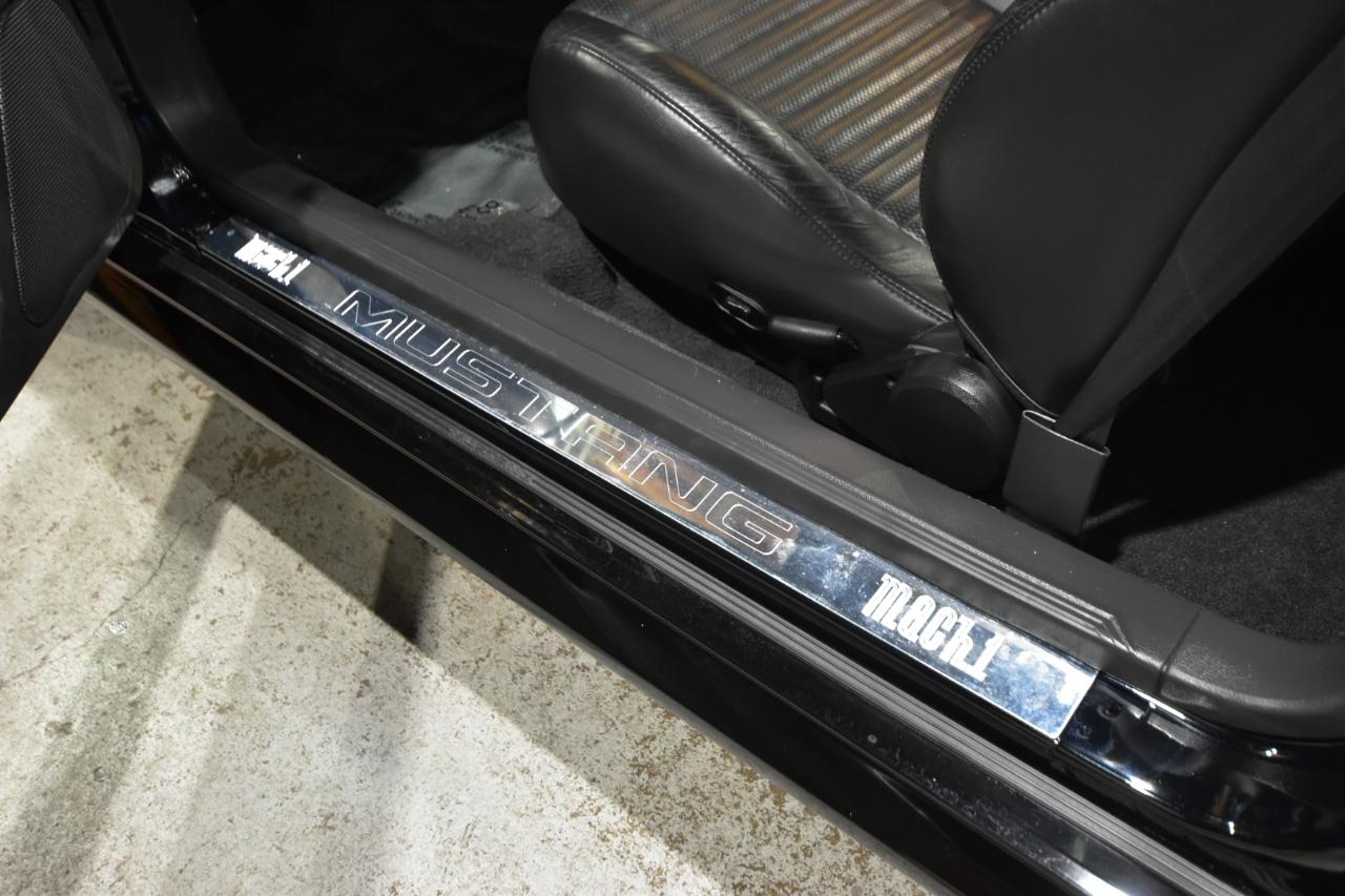Ford Mustang 2dr Cpe Premium Mach 1 2004