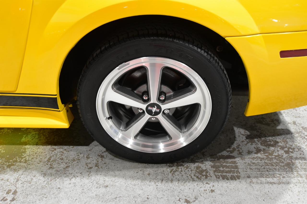 Ford Mustang 2dr Cpe Premium Mach 1 2004