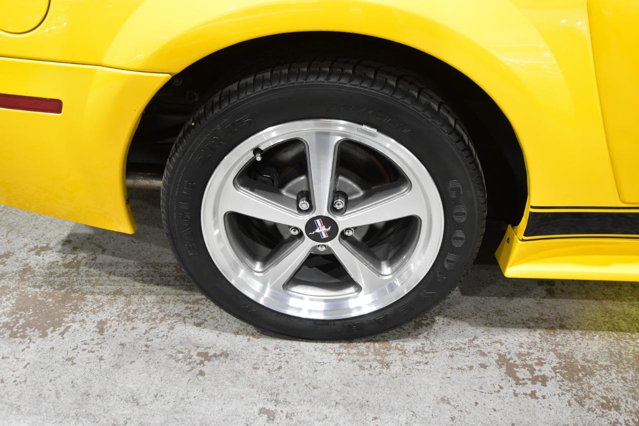 Ford Mustang 2dr Cpe Premium Mach 1 2004