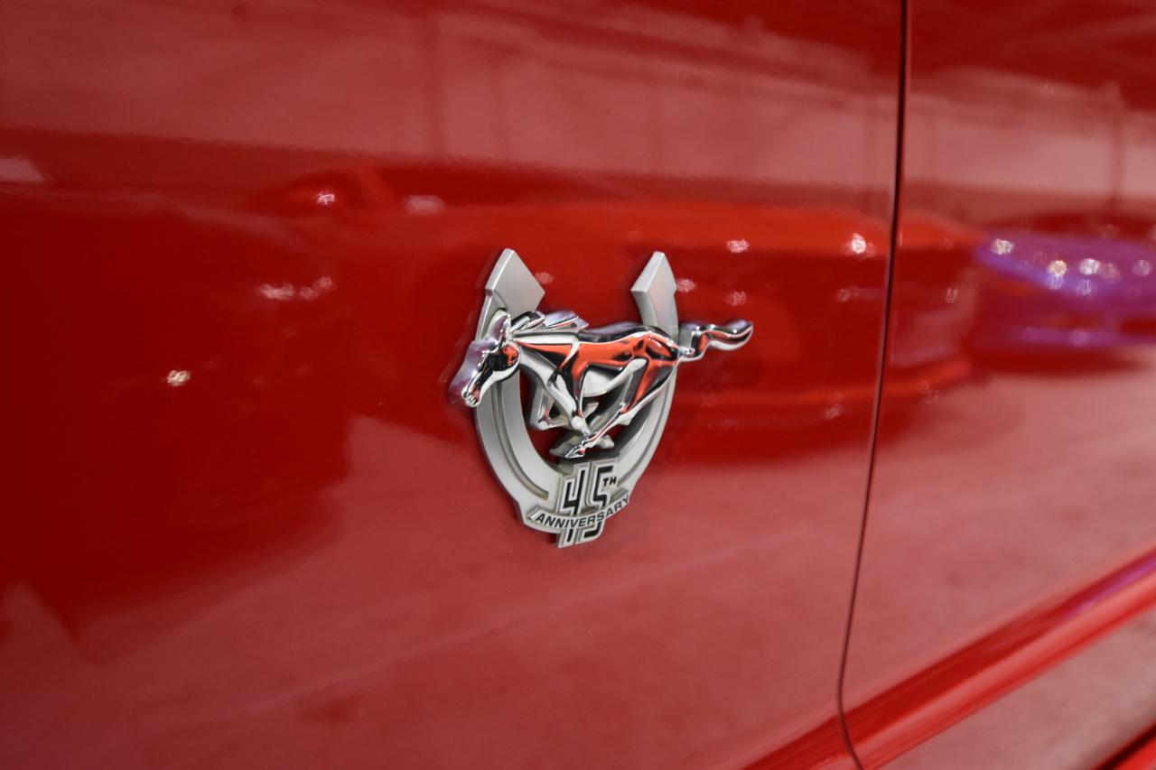 Ford Mustang 2dr Cpe GT 2009