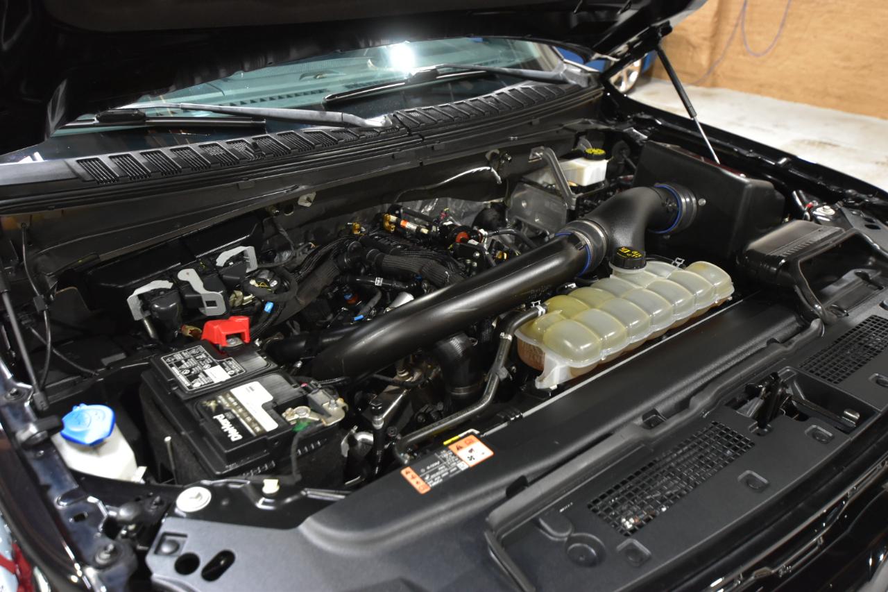 Ford Expedition Max  2022
