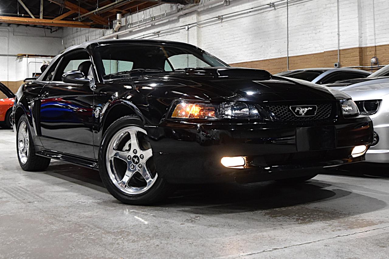 Ford Mustang 2dr Conv GT Deluxe 2004