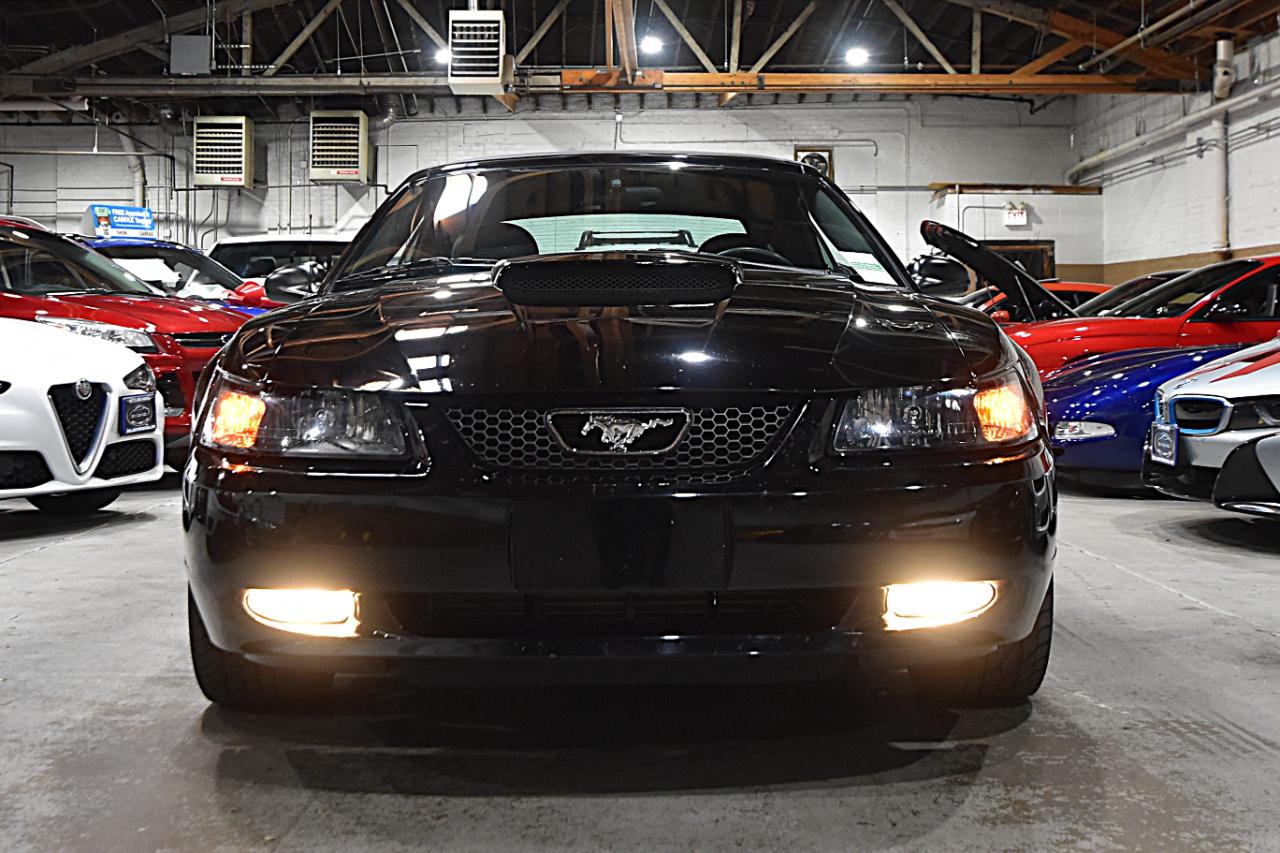 Ford Mustang 2dr Conv GT Deluxe 2004