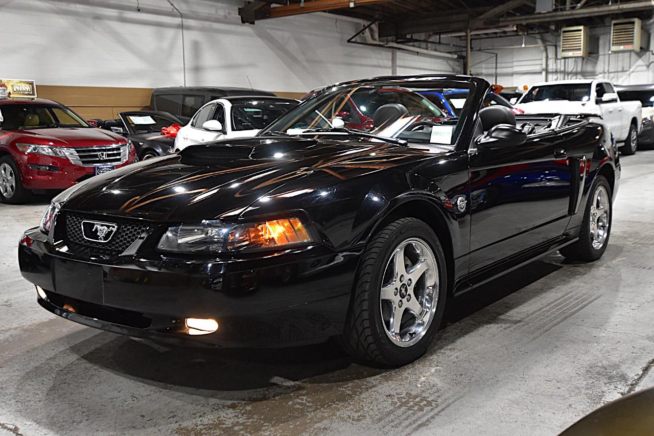 Ford Mustang 2dr Conv GT Deluxe 2004