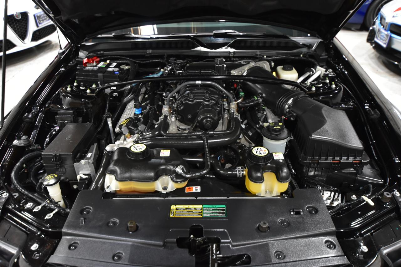 Ford Mustang 2dr Cpe Shelby GT500 2008