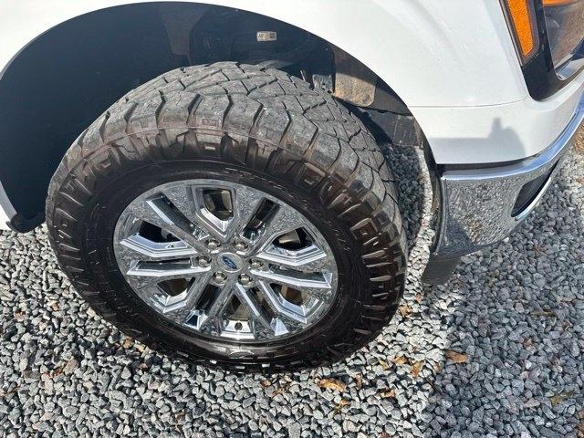 Ford F-150  2024