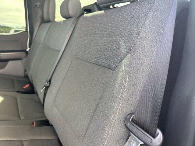 Ford F-150  2024