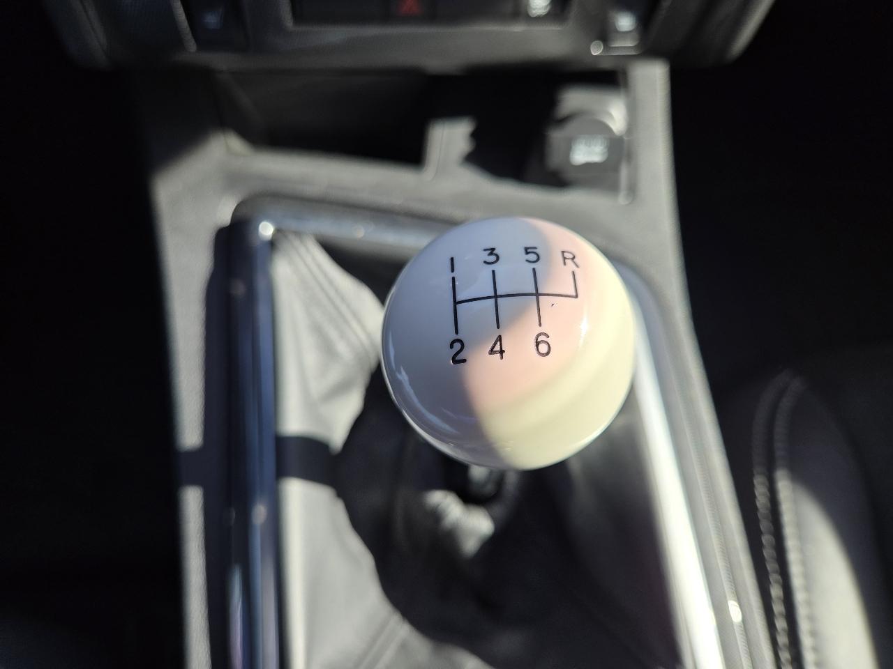 Dodge Challenger 2dr Cpe SRT8 2009