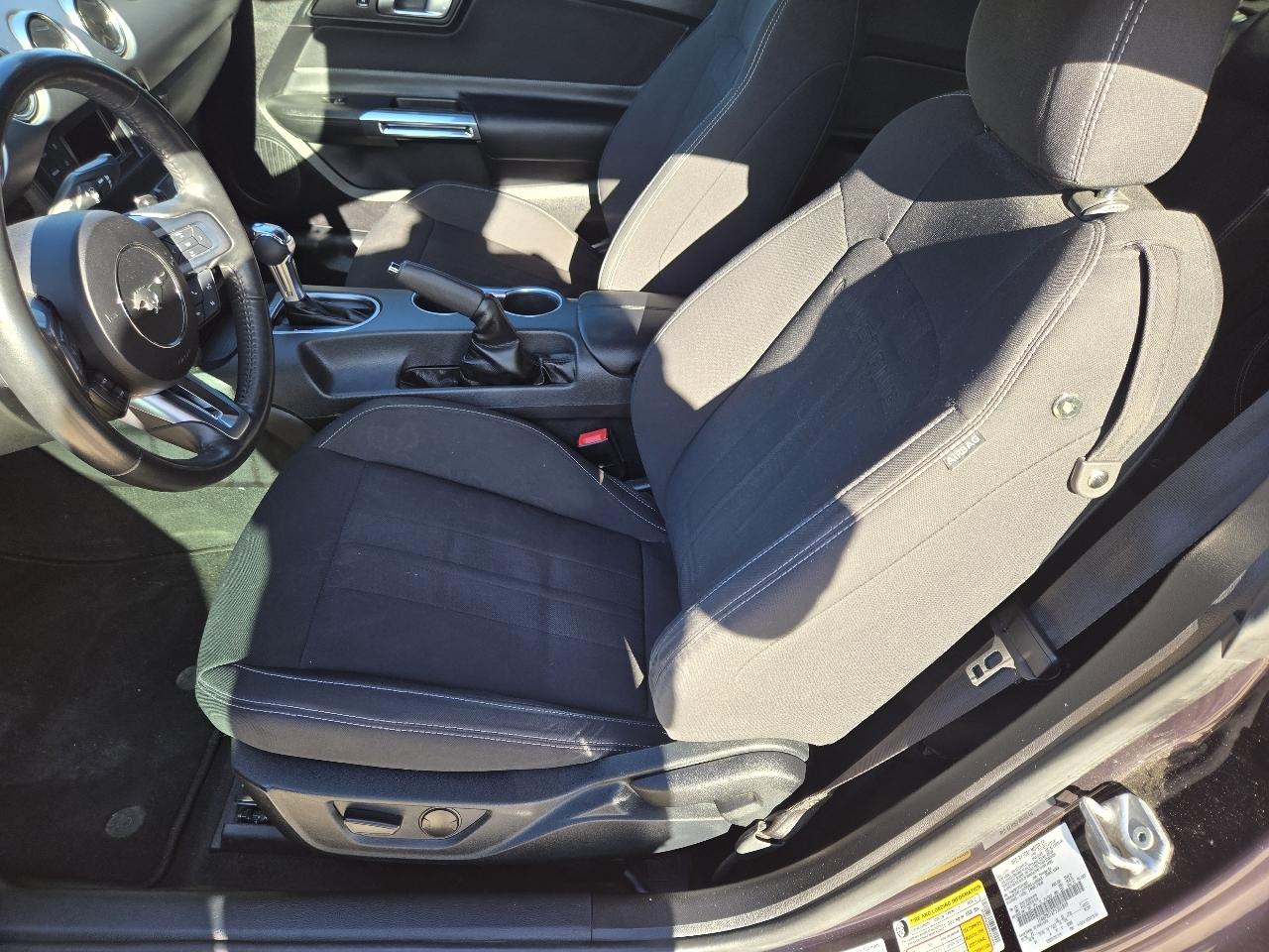 Ford Mustang GT Fastback 2023