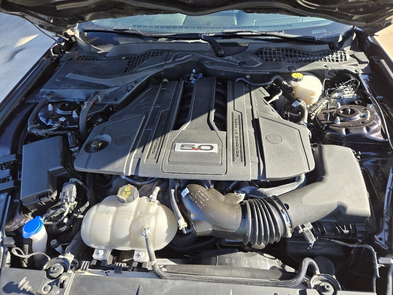 Ford Mustang GT Fastback 2023