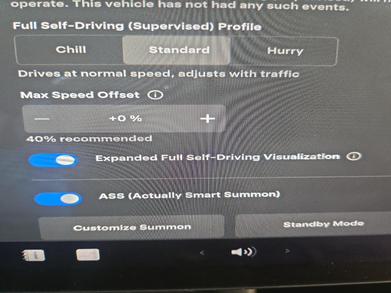 Tesla Model 3 Performance AWD 2021