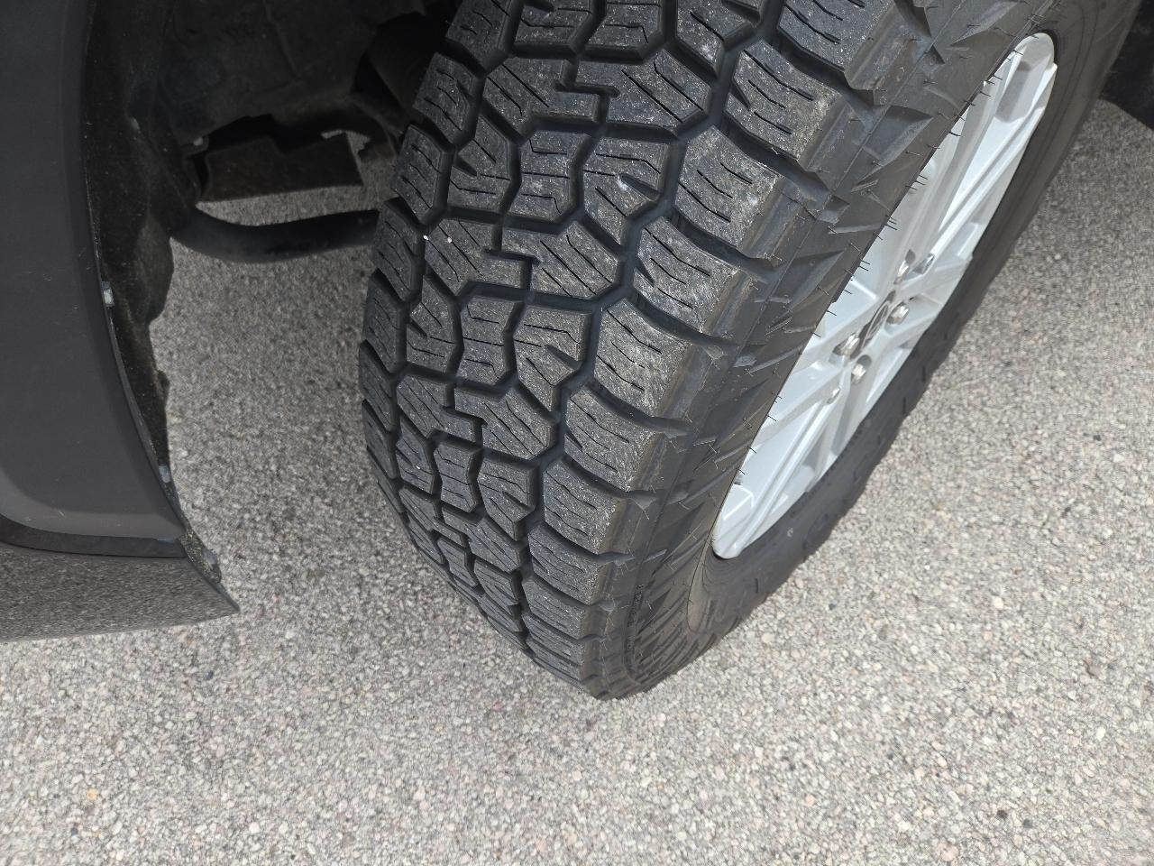 Toyota Tundra 4WD SR5 CrewMax 5.5' Bed (Natl) 2023