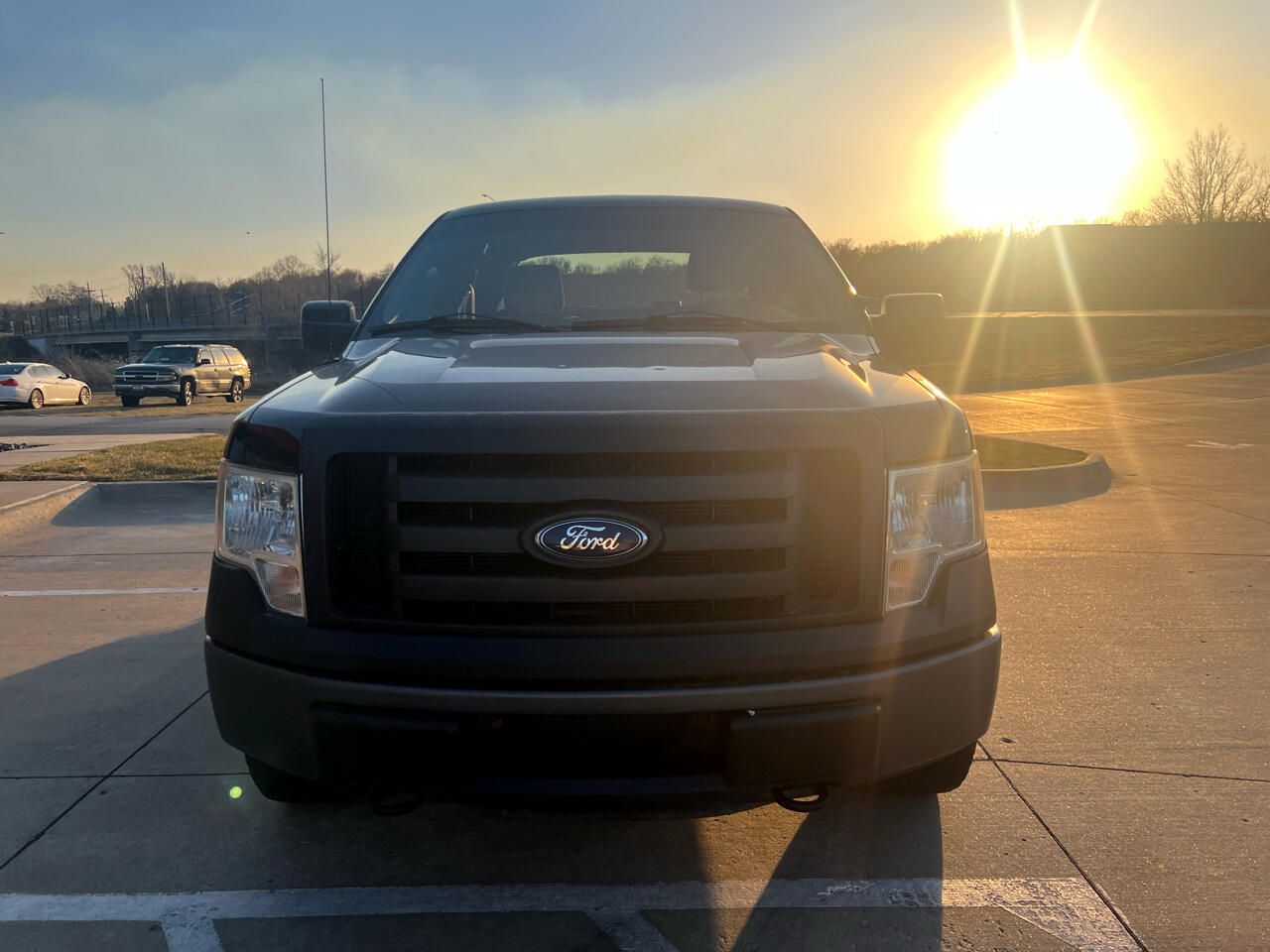 Ford F-150 4WD SuperCrew 145" Platinum 2012