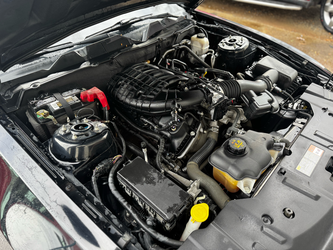 Ford Mustang 2dr Cpe V6 2013