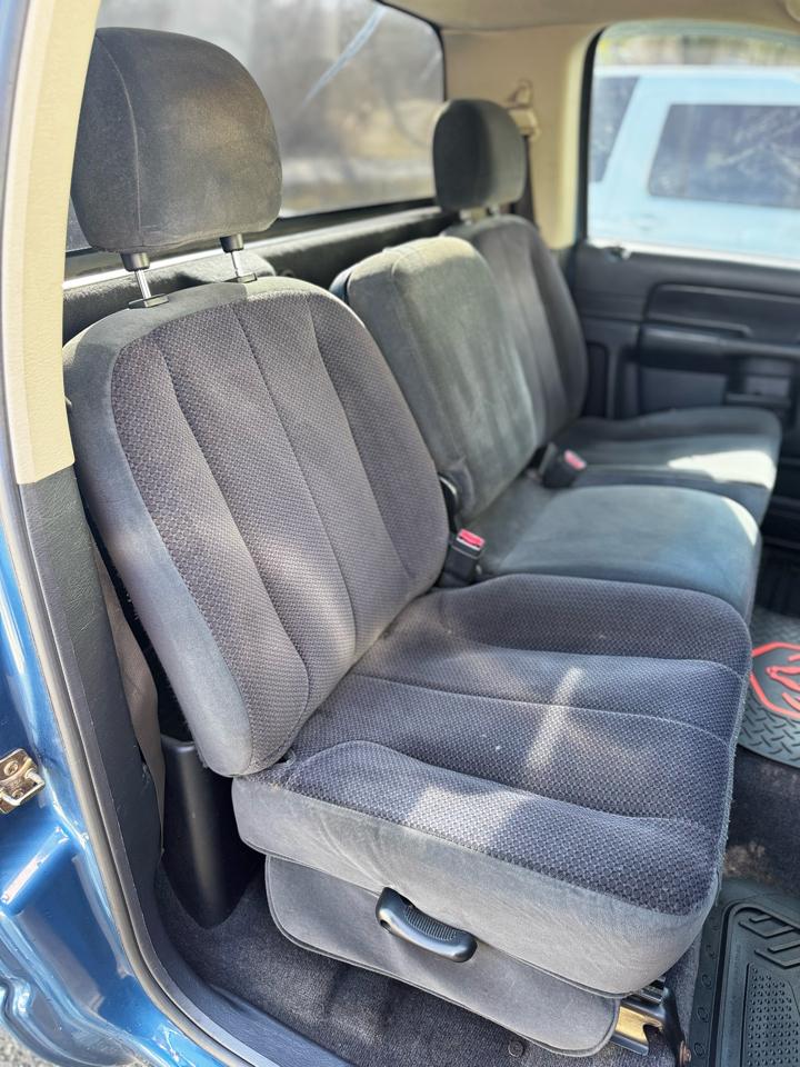 Dodge Ram 1500 2dr Reg Cab 120.5" WB SLT 2004