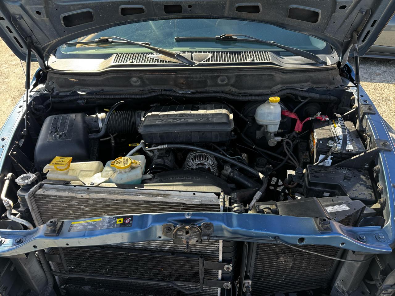 Dodge Ram 1500 2dr Reg Cab 120.5" WB SLT 2004