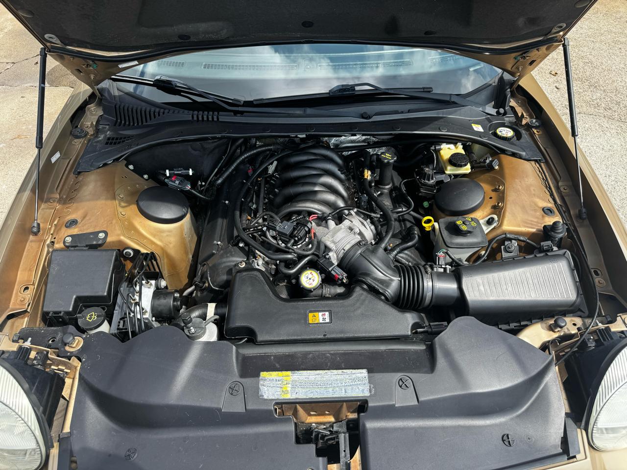 Ford Thunderbird Deluxe 2005