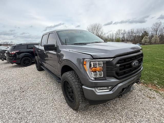 Ford F-150 XLT SuperCrew 6.5-ft. Bed 4WD 2021