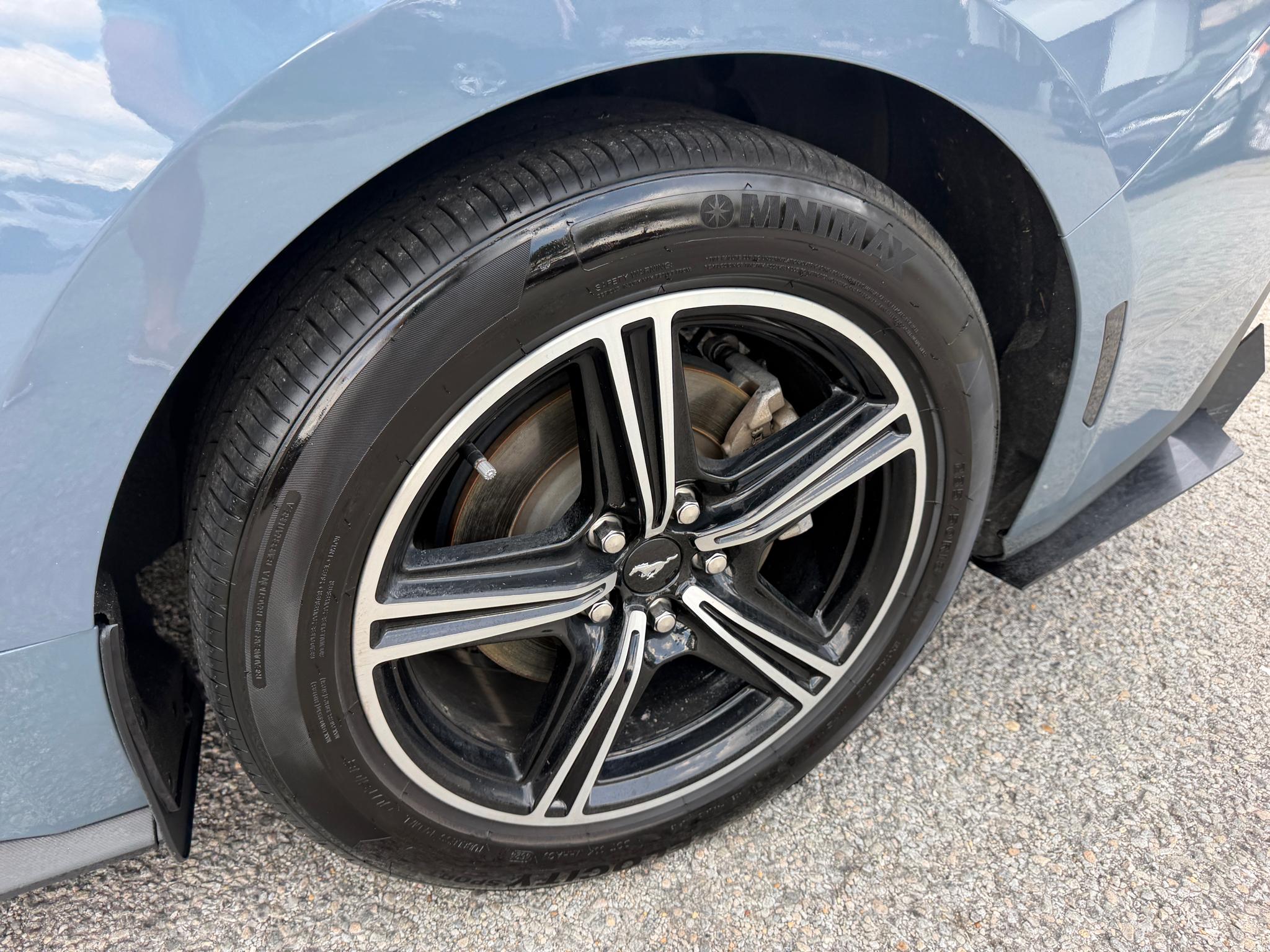 Ford Mustang EcoBoost Fastback 2024