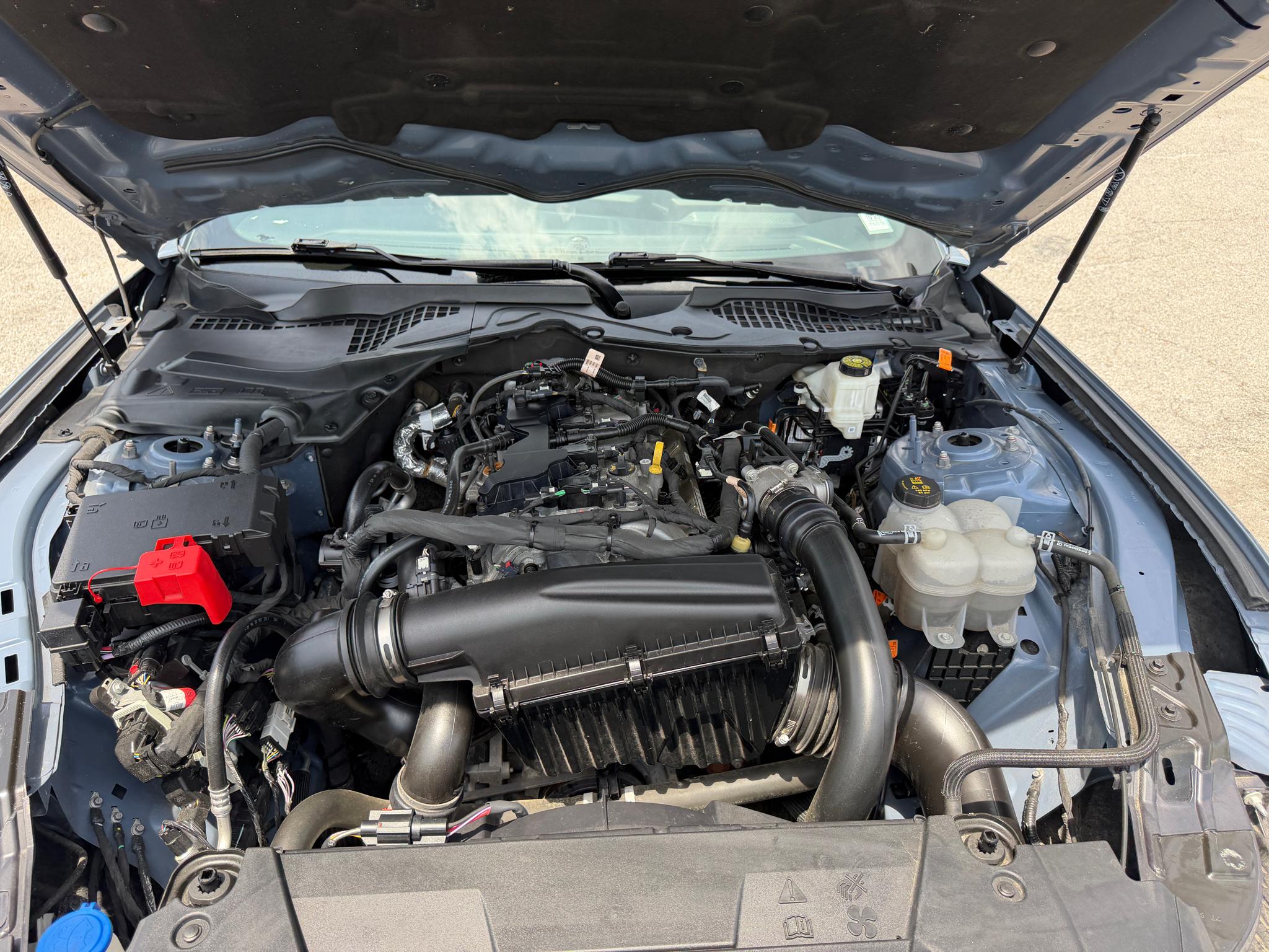 Ford Mustang EcoBoost Fastback 2024
