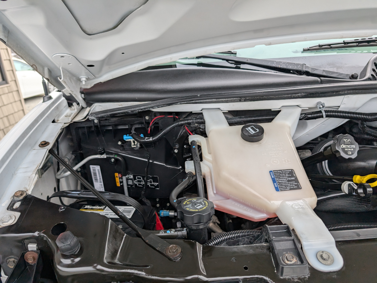 Chevrolet Express Passenger  2017