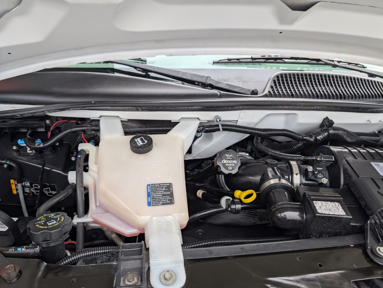 Chevrolet Express Passenger  2017