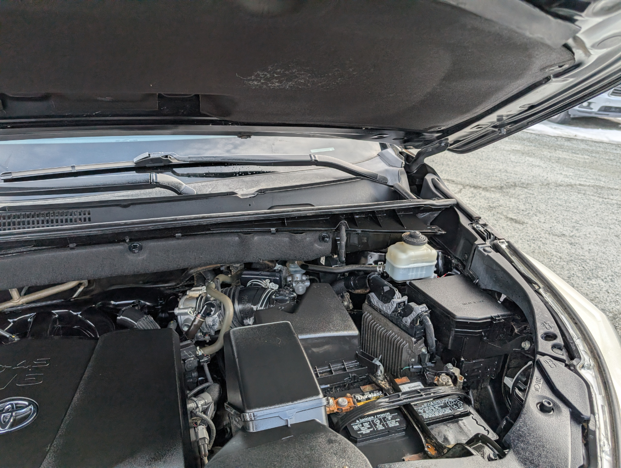 Toyota Highlander XLE 2019