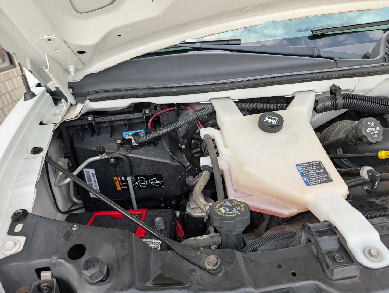 Chevrolet Express Passenger  2014