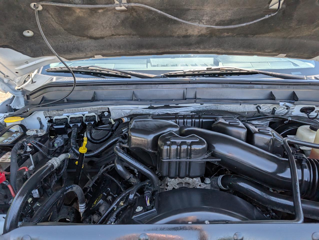 Ford Super Duty F-250 SRW  2016