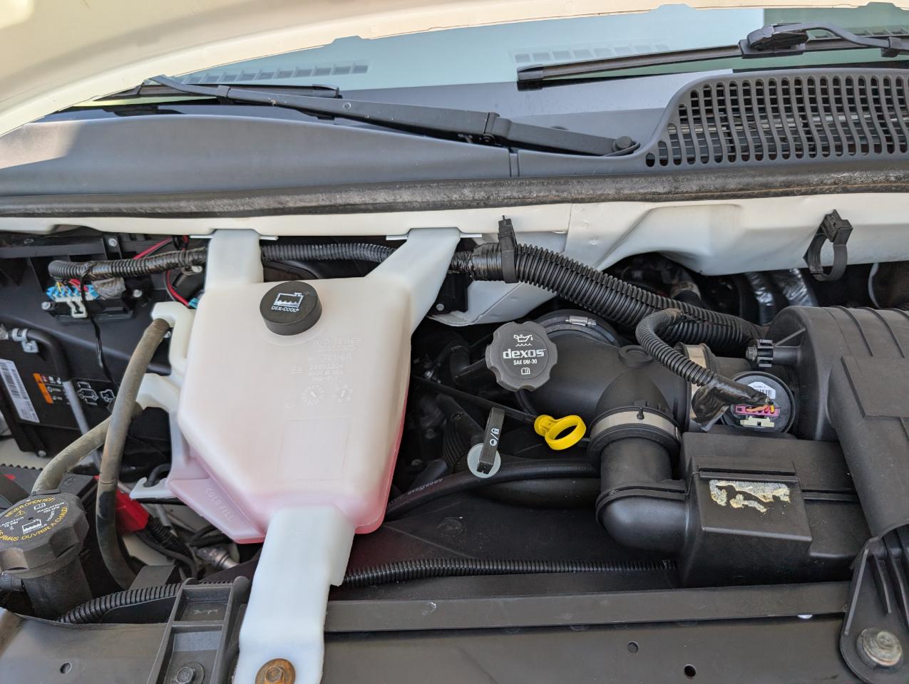 Chevrolet Express Passenger  2013