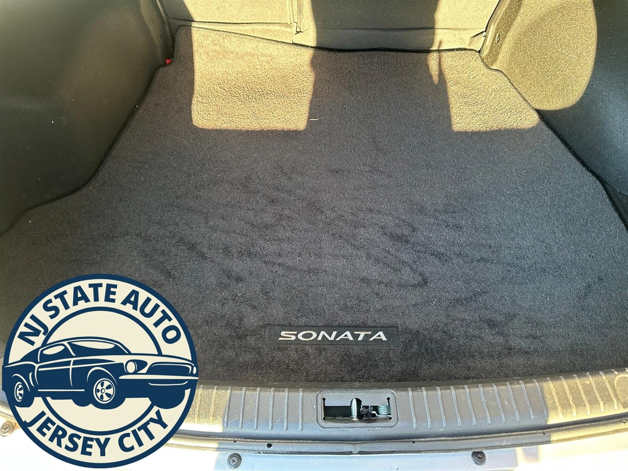 Hyundai Sonata Limited V6 2009 Hyundai Sonata Limited V6 2009