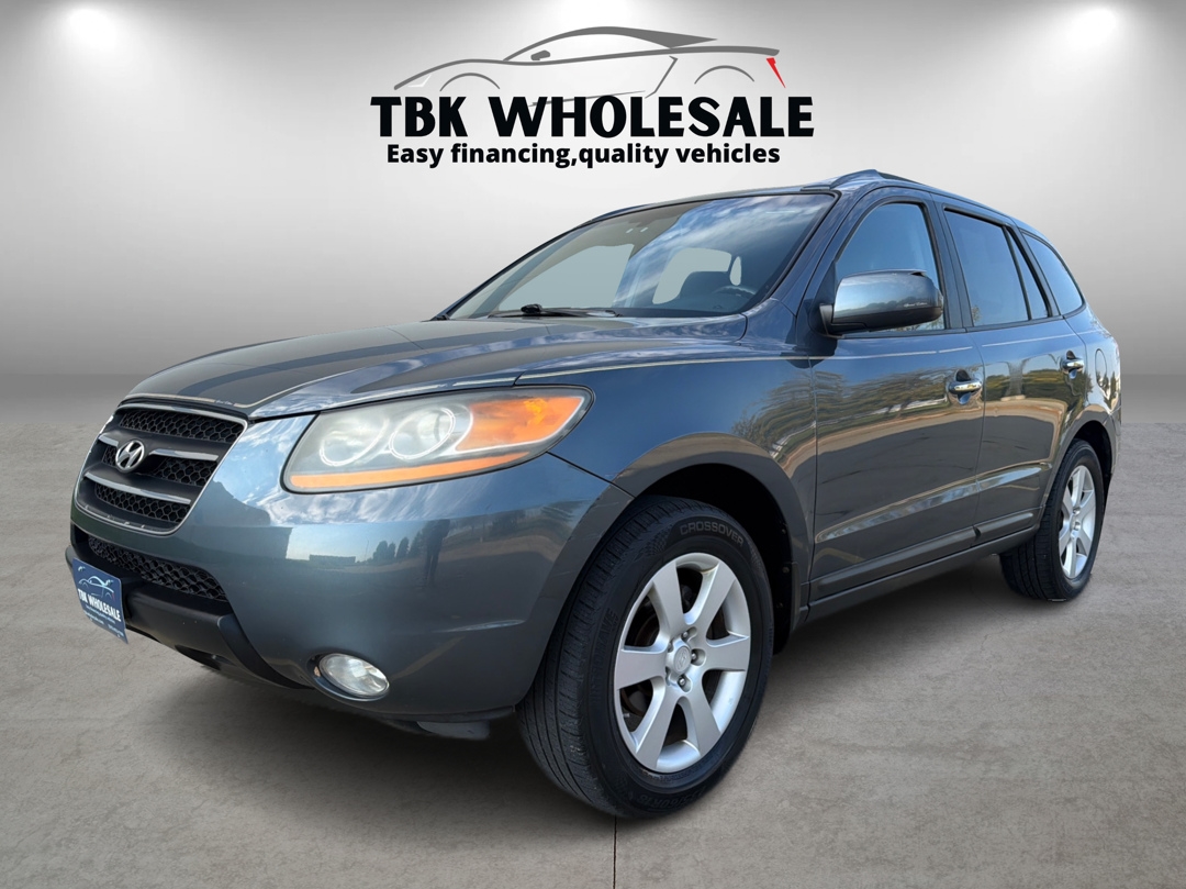 2008 Hyundai Santa Fe SE