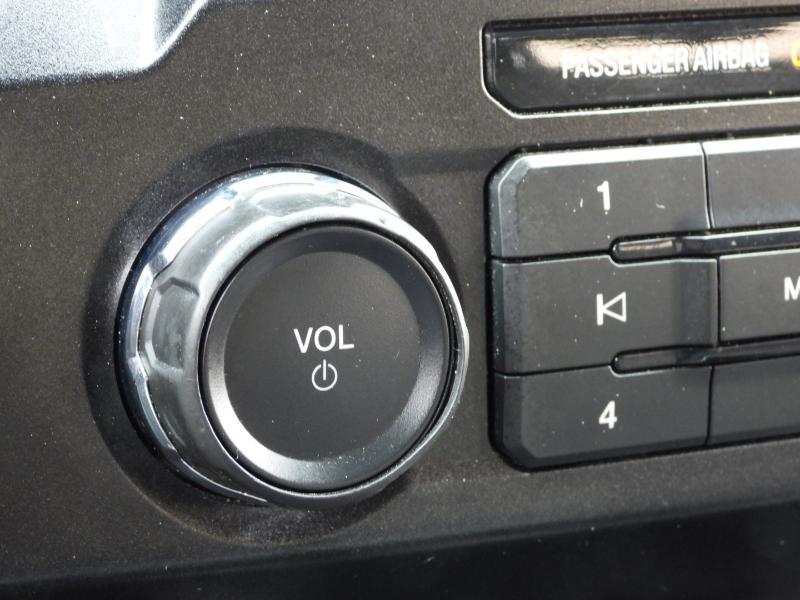 Ford F-150 XLT SuperCrew 5.5-ft. Bed 2WD 2020