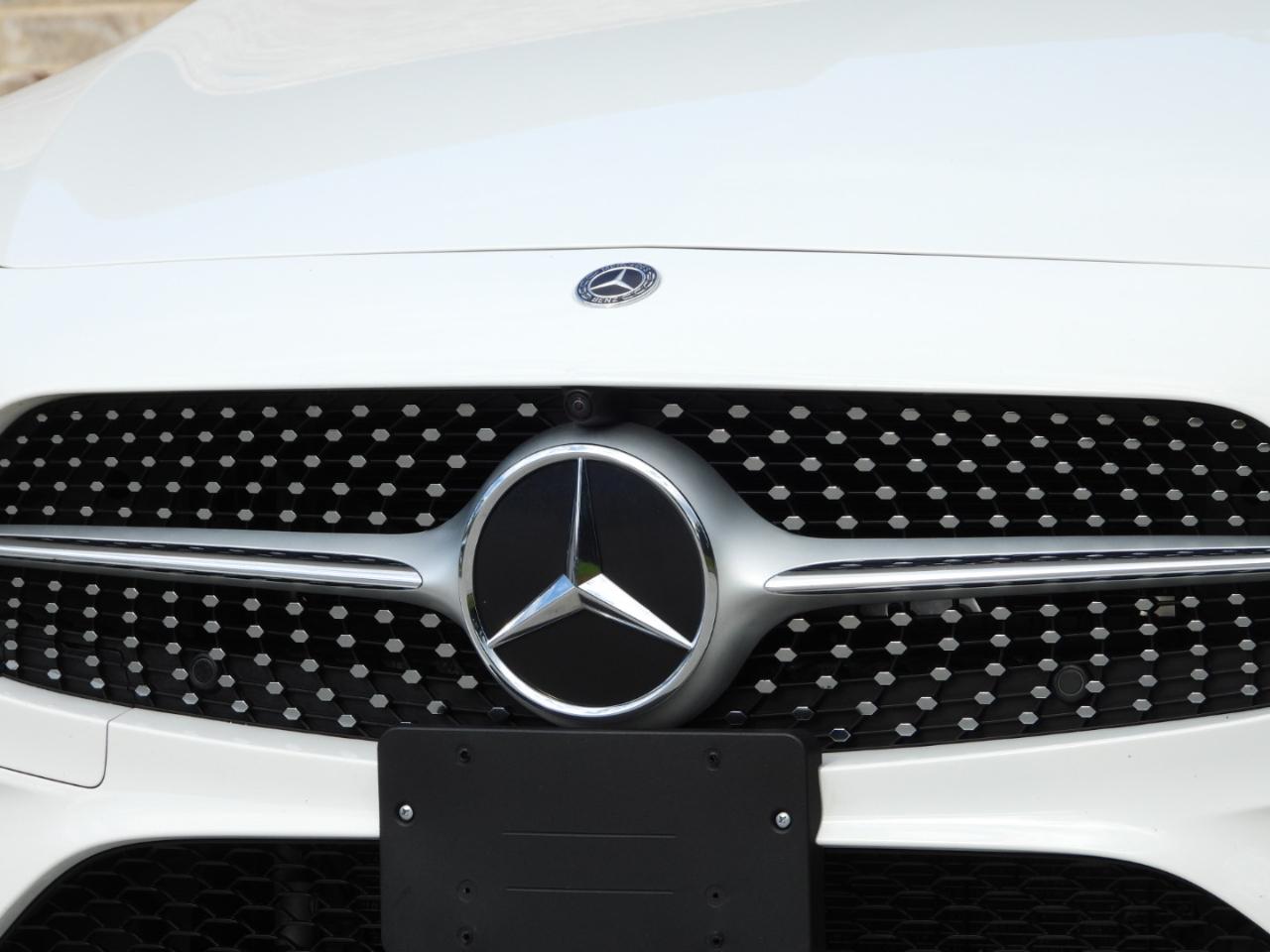 Mercedes-Benz CLS-Class CLS450 2019