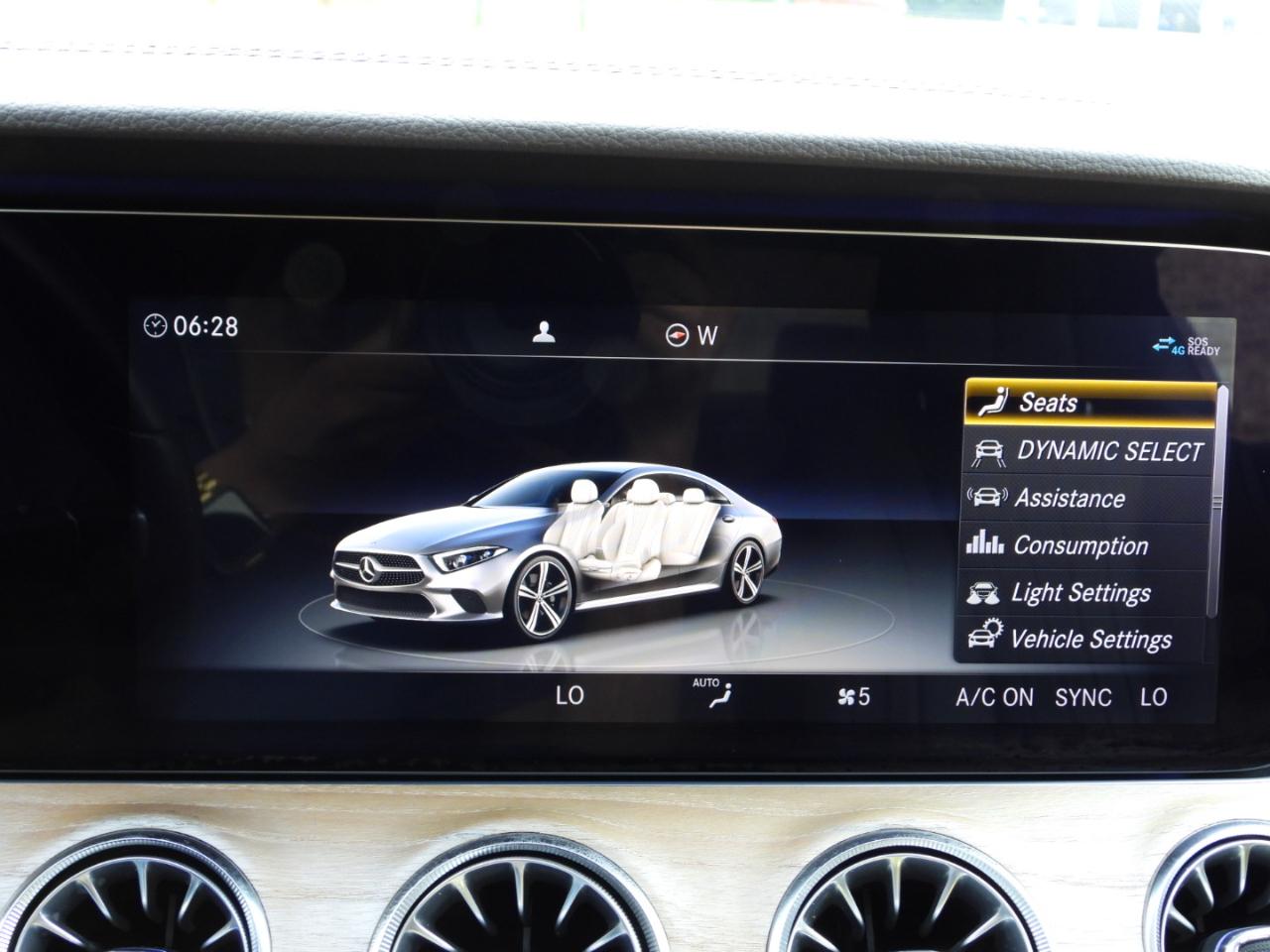 Mercedes-Benz CLS-Class CLS450 2019