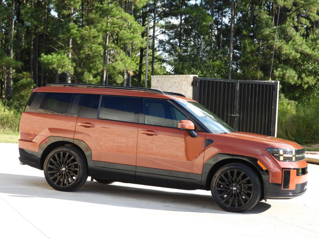 Hyundai Santa Fe Calligraphy 2024